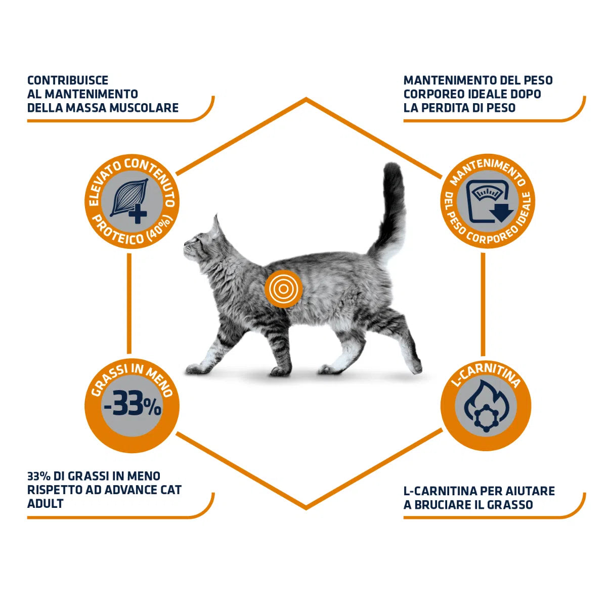 Advance Diets Cat Weight Balance 1,5kg Advance Diets Cat Weight Balance 1,5kg